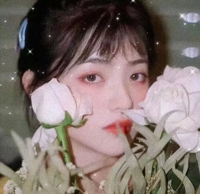 红花侠