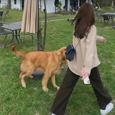 疯狂杀手俏妈咪